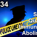 RM234: Should Qualified Immunity Be Abolished?