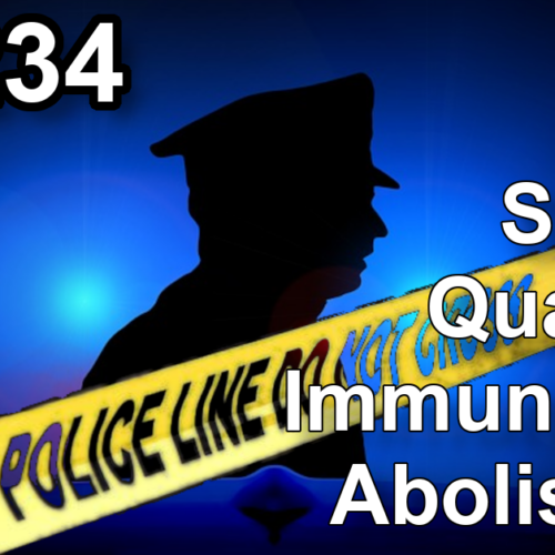 Transcript of RM234: Should Qualified Immunity Be Abolished?